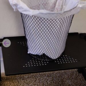 Pair of Trash Cans